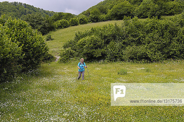 Albanien  Shkoder County  Albanische Alpen  Theth-Nationalpark  Wanderin auf der Blumenwiese
