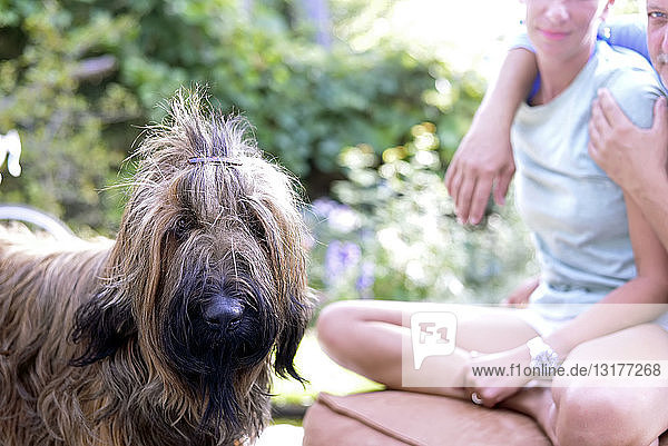 Porträt eines Hundes mit Haarspange im Garten