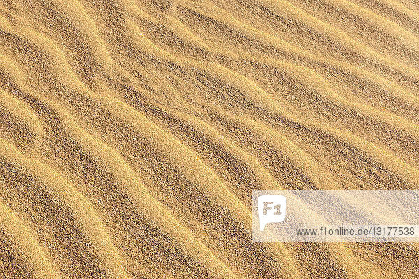 Detail einer Sanddüne