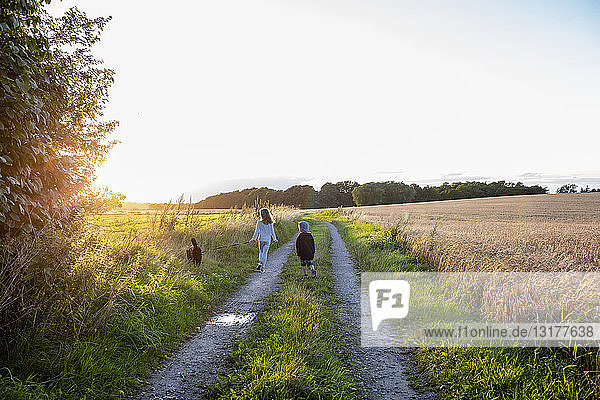 Two children with a dog walking on a field path at sunset