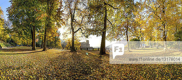 Deutschland  Baden-Württemberg  Heidelberg  Schlossgarten im Herbst