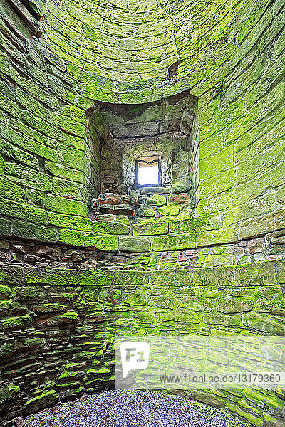 Großbritannien  Schottland  Dumfries und Galloway  Schloss Caerlaverock  grüne moosbewachsene Mauer