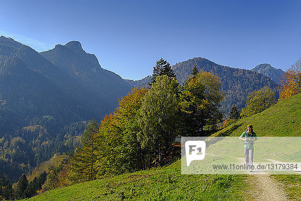 Germany  Bavaria  Upper Bavaria  Chiemgau  near Schleching  Achen Valley  hiker on hiking trail