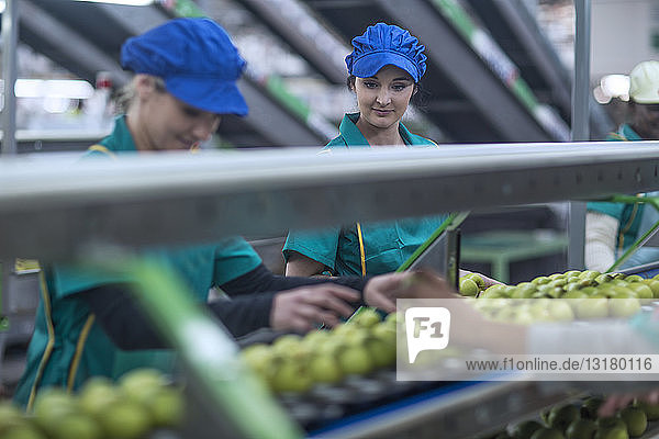 Zwei Frauen arbeiten in einer Apfelfabrik