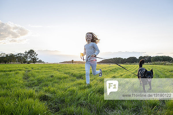 Girl with a dog running over a field at sunset