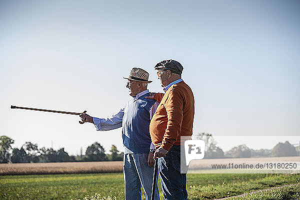 Two old friends standing in the fields  pointing with walking stick