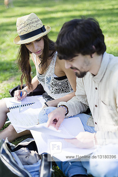 Zwei Studenten sitzen auf einer Wiese in einem Park und schauen sich Notizen an