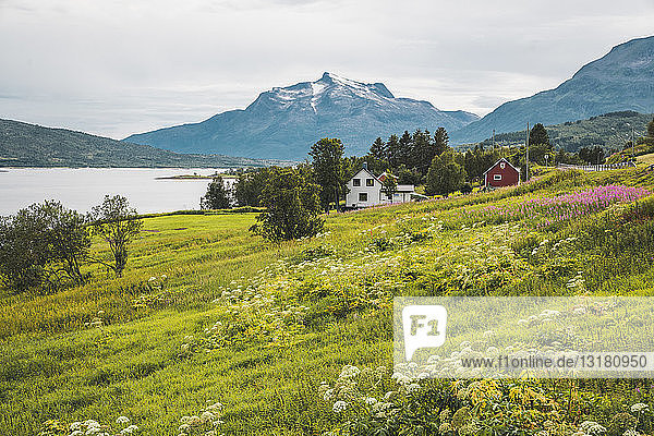 Nordnorwegen  Lappland  Landschaft an einem Fjord