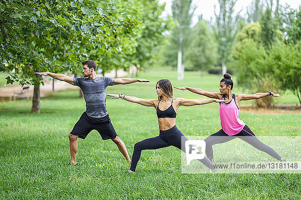Junge Leute üben Yoga in einem Park