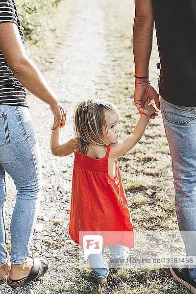 Girl walking on parent's hands on a field path