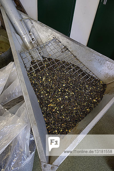Container with pumpkin seeds in an oil mill
