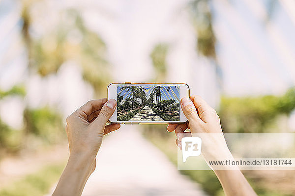 Spanien Valencia Ciudad de las Artes y de Las Ciencias L'Umbracle Frau macht Handyfoto im Palmengarten