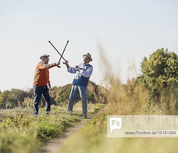 Zwei alte Freunde  die mit ihren Gehstöcken auf den Feldern fechten