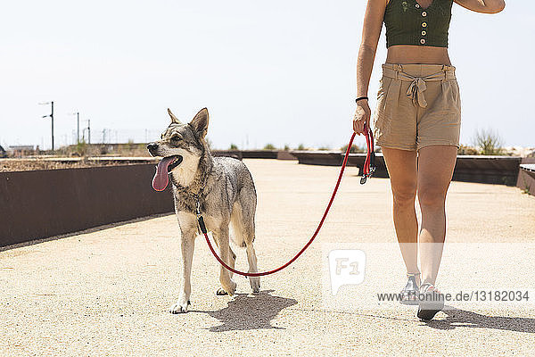 Junge Frau geht mit ihrem Hund spazieren  Teilansicht