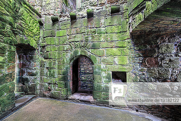 Großbritannien  Schottland  Dumfries und Galloway  Schloss Caerlaverock  grüne moosbewachsene Mauer