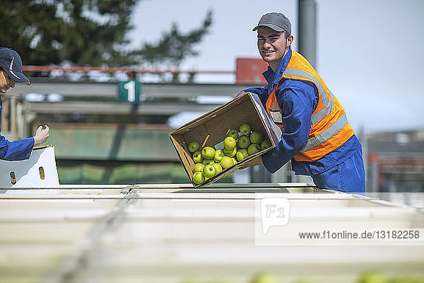 Arbeiter in reflektierender Weste beim Verpacken von Äpfeln