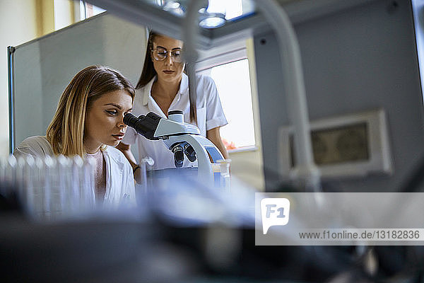 Zwei junge Frauen mit Mikroskop im Labor