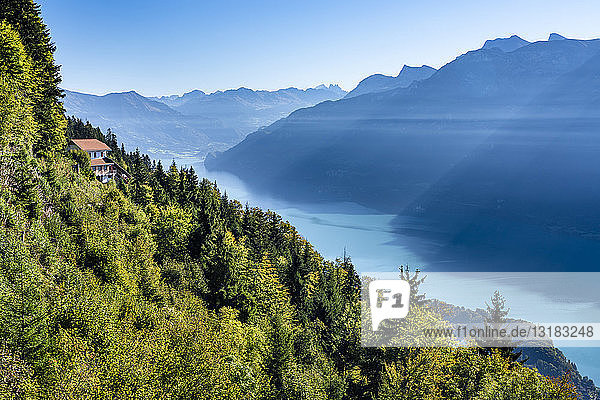 Schweiz  Kanton Bern  Berner Alpen  Interlaken  Blick auf den Brienzersee  Blick vom Harder Kulm
