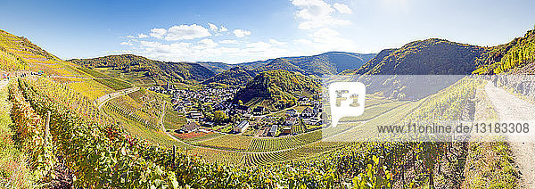Deutschland  Rheinland-Pfalz  Ahrtal  Maischoss  Blick vom Rotweinwanderweg  Panorama