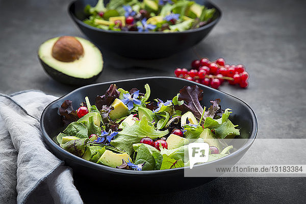 Schüssel gemischter Salat mit Avocado  roten Johannisbeeren und Borretschblüten