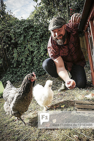 Mann im eigenen Garten  Mann mit Eiern von freilaufenden Hühnern