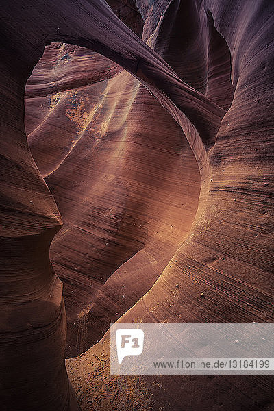 Amerika,Arizona,aussen,Black Ridge Canyons Wilderness,Bogen,braun