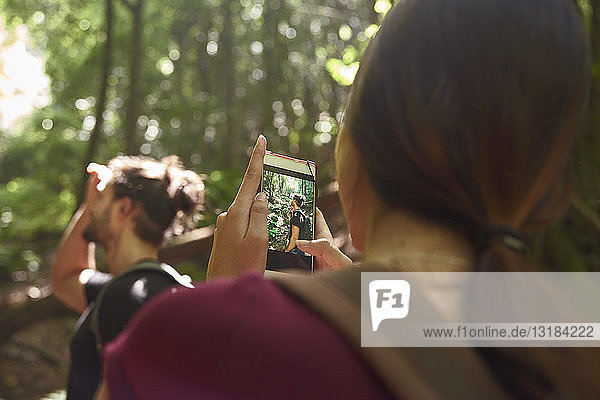 Spain  Canary Islands  La Palma  woman taking a cell phone picture of her boyfriend in a forest