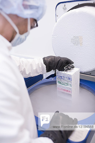 Wissenschaftlerin im Labor lagert biologisches Material im Kryolager