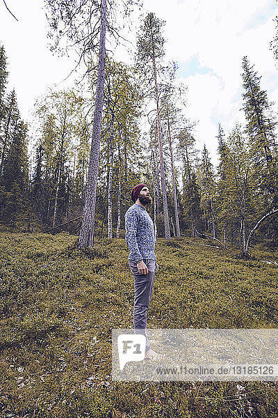 Sweden  Lapland  man standing on forest glade relaxing