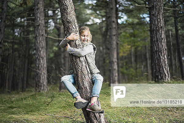 Mädchen umarmt einen Baum im Wald