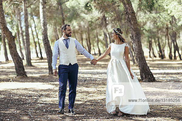 Happy bridal couple walking hand in hand in pine forest