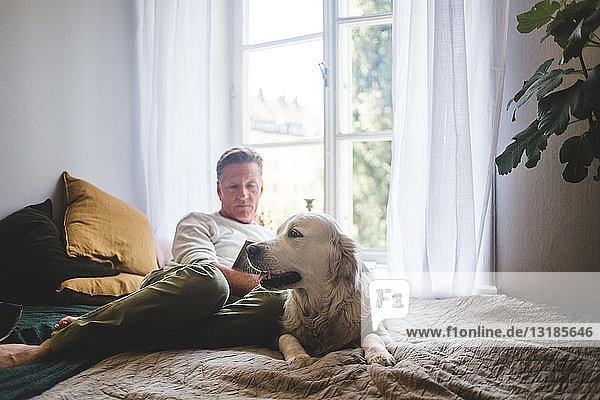 Dog resting on bed while senior man reading book against window at home