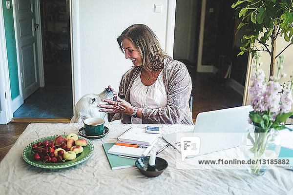 Smiling senior woman touching dog while working at table from home