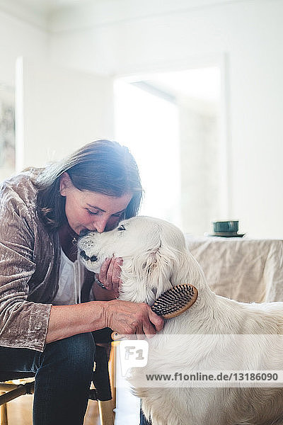 Loving senior woman combing cute dog while sitting at home