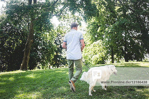 Rear view of senior man walking with dog on grassy field at park