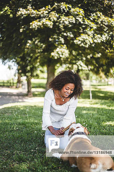 Lächelnde  mittelgroße  erwachsene Frau  die einen Stock hält  während sie im Park mit einem Hund spielt