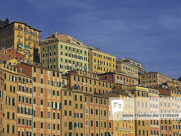 Leuchtende gelbe und orangefarbene Gebäude  Camogli  Ligurien  Italien
