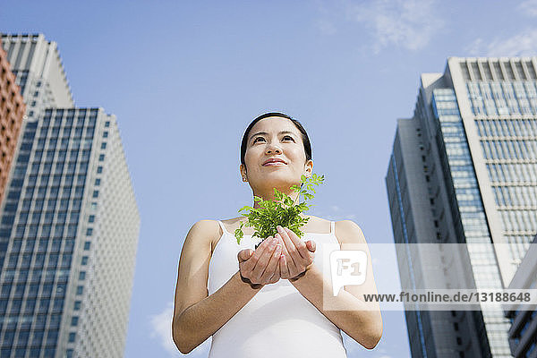 Porträt einer jungen Frau  die einen grünen Bäumchen unter den Hochhäusern der Stadt hält