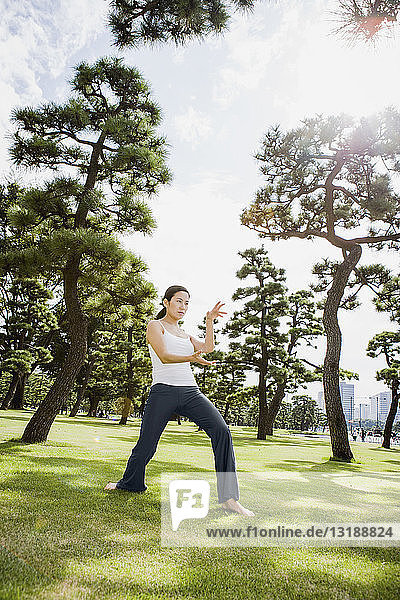 Frau übt Tai Chi in einem sonnigen Park  Tokio  Japan