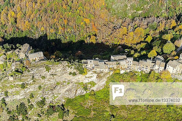 France,  Haute Corse,  Ferlaggia,  in Castagniccia (aerial view)