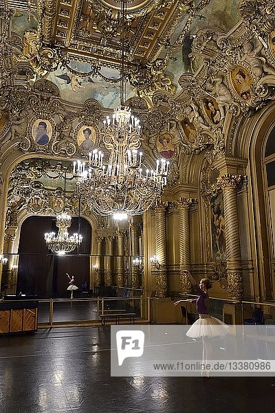 France,  Paris,  the Garnier Opera,  warm-ups before going on stage in the Foyer de la Danse