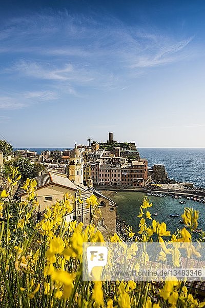 Blick auf das Dorf mit bunten Häusern an der Küste  Vernazza  UNESCO-Weltkulturerbe  Cinque Terre  Riviera di Levante  Provinz La Spezia  Ligurien  Italien  Europa