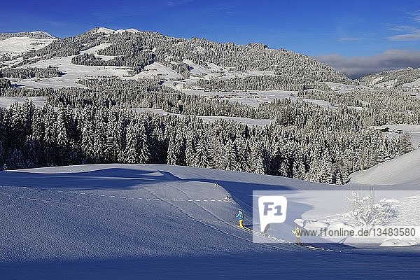 Schneeschuhwanderer  Gruberberg  Hopfgarten  Kitzbüheler Alpen  Tirol  Österreich  Europa