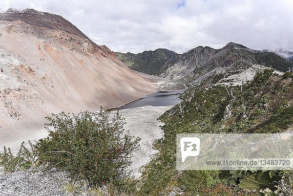 Blick vom Krater des Vulkans Chaitén auf durch Vulkanausbruch zerstörten Wald bei Puente los Gigios Pumalín Park Chaitén Carretera austral Región de los Lagos Chile Südamerika