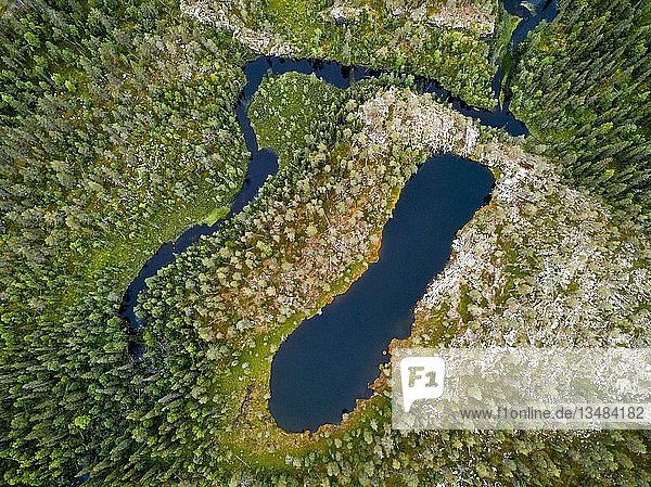 Drohnenansicht  Luftaufnahme eines schuhförmigen Sees und Flusses im borealen  arktischen Wald mit Nadelbäumen  Kiefern (Pinus) in RouppankongÃ¤s  Pallas-YllÃ¤stunturi-Nationalpark  KittilÃ¤  Lappland  Finnland  Europa