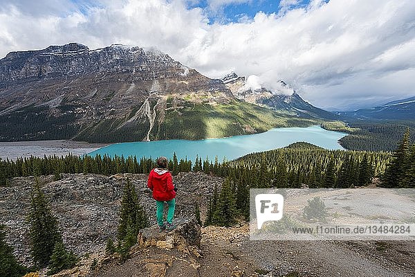 Hiker looks out into nature  turquoise lake  Peyto Lake  Rocky Mountains  Banff National Park  Alberta Province  Canada  North America