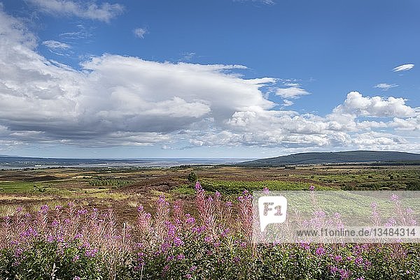 Blick vom Aussichtspunkt Struie Hill  am Horizont die Flussmündung des Dornoch Firth  Sutherland  Schottland  Großbritannien
