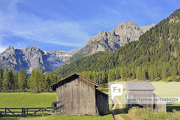 Fischleintal  Heuhaufen auf den Bergwiesen  Bergwald und Gebirgskette  Sextner Dolomiten  Südtirol  Italien  Europa