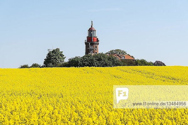 Rapsfeld mit Leuchtturm Bastorf  Mecklenburg Vorpommern  Deutschland  Europa