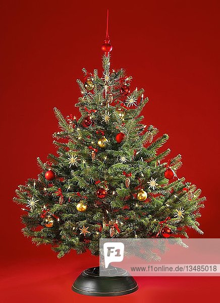 Geschmückter Weihnachtsbaum  roter Hintergrund  Deutschland  Europa